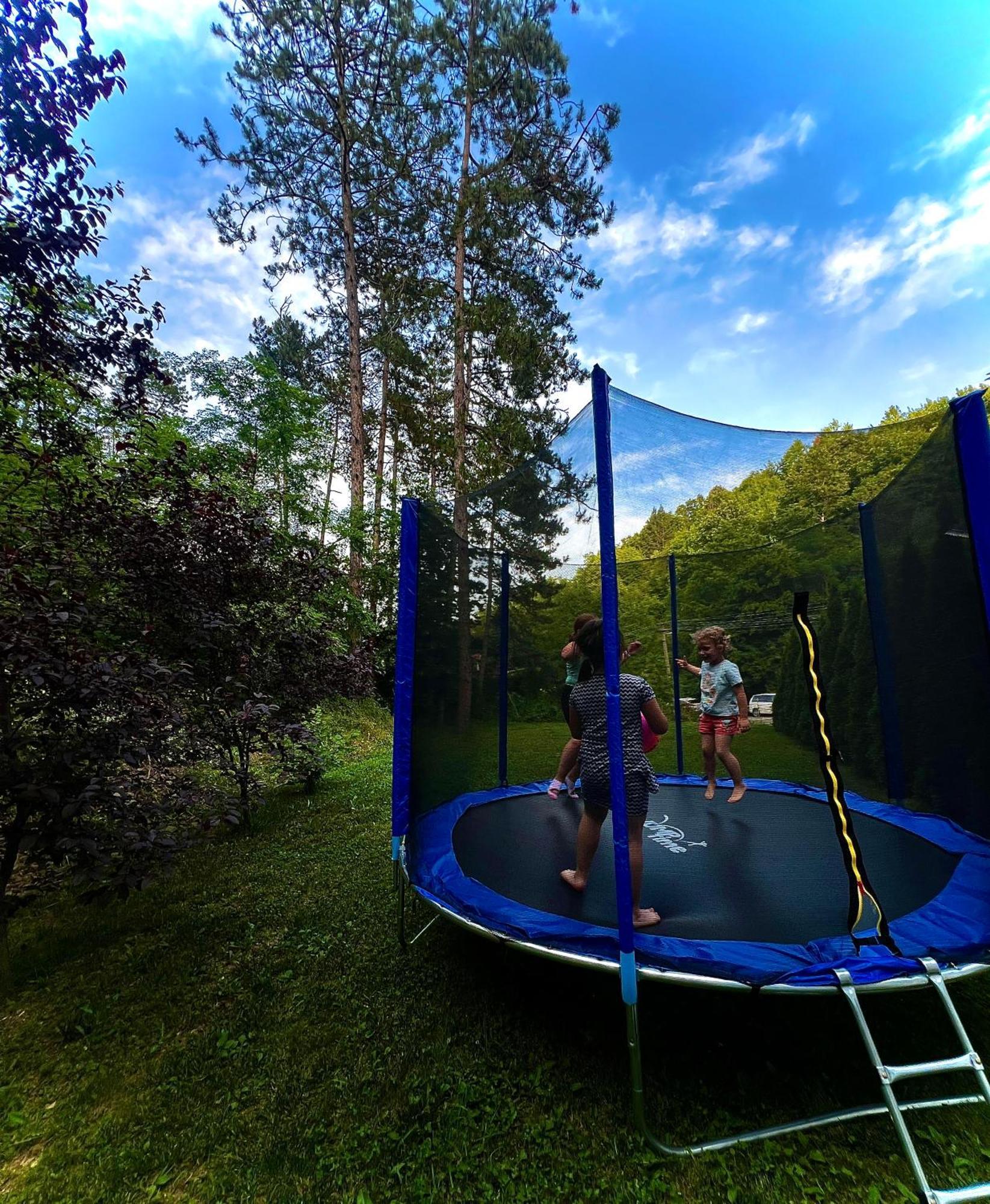 Bed and Breakfast Zeleni Dvor Ribarska Banja Esterno foto